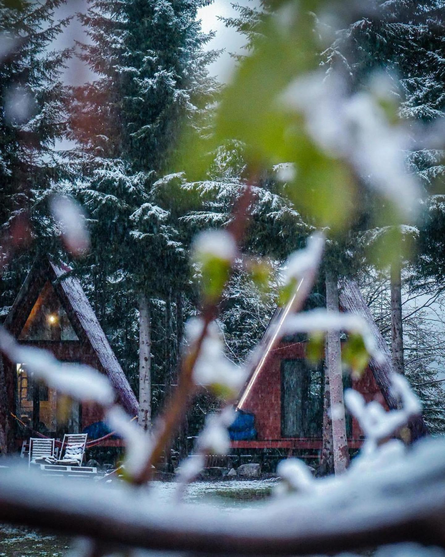 Bude Mestia Cottages Екстериор снимка