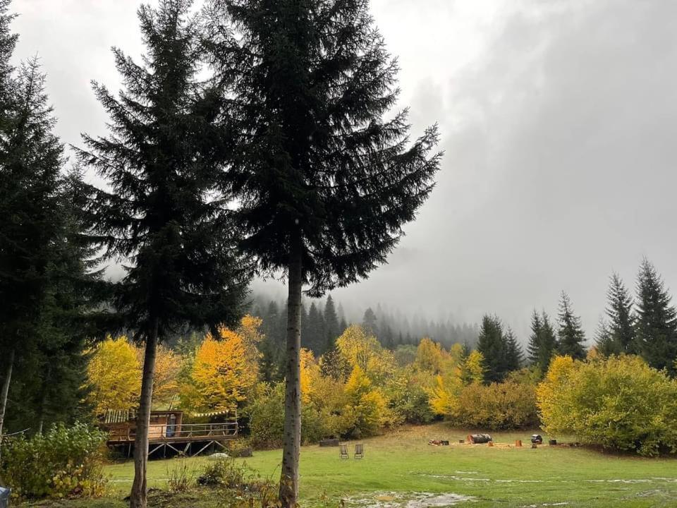 Bude Mestia Cottages Екстериор снимка